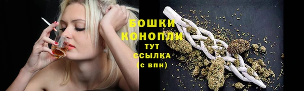 индика Володарск