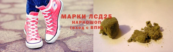 индика Володарск